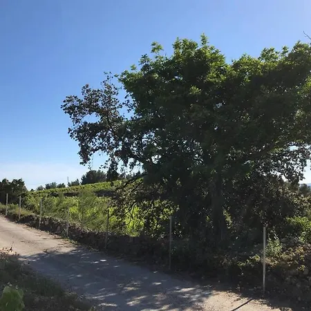 Studio 27 M2 Terasse 12m2 Parking Plage Climatisation Confort Saint-Cyr-sur-Mer
